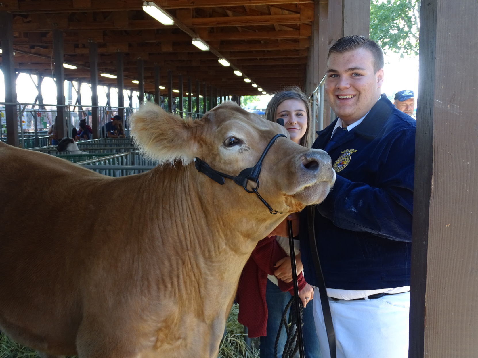 Napa Town & Country Fair 2019